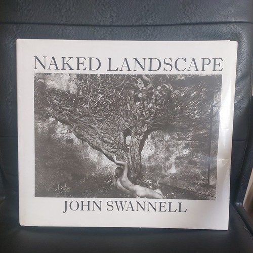 Vintage 80s naked landscape - 80s,